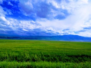 キルギスの青い空と緑の草原