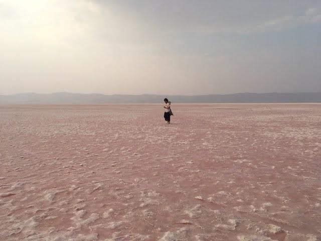 一面のピンク色の塩湖
