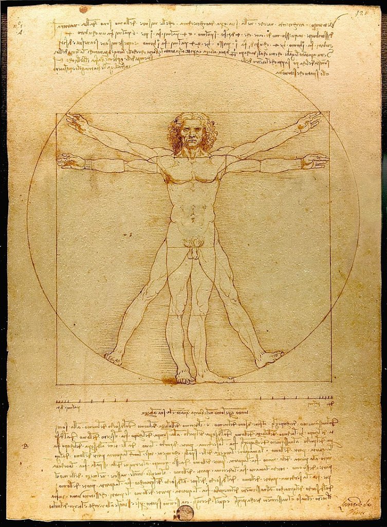 画像：ウィトルウィウス的人体図：ダヴィンチ