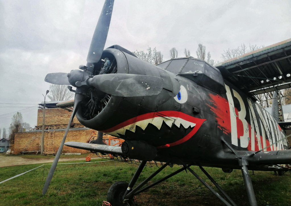 ウクライナの飛行機博物館のヤンキー飛行機