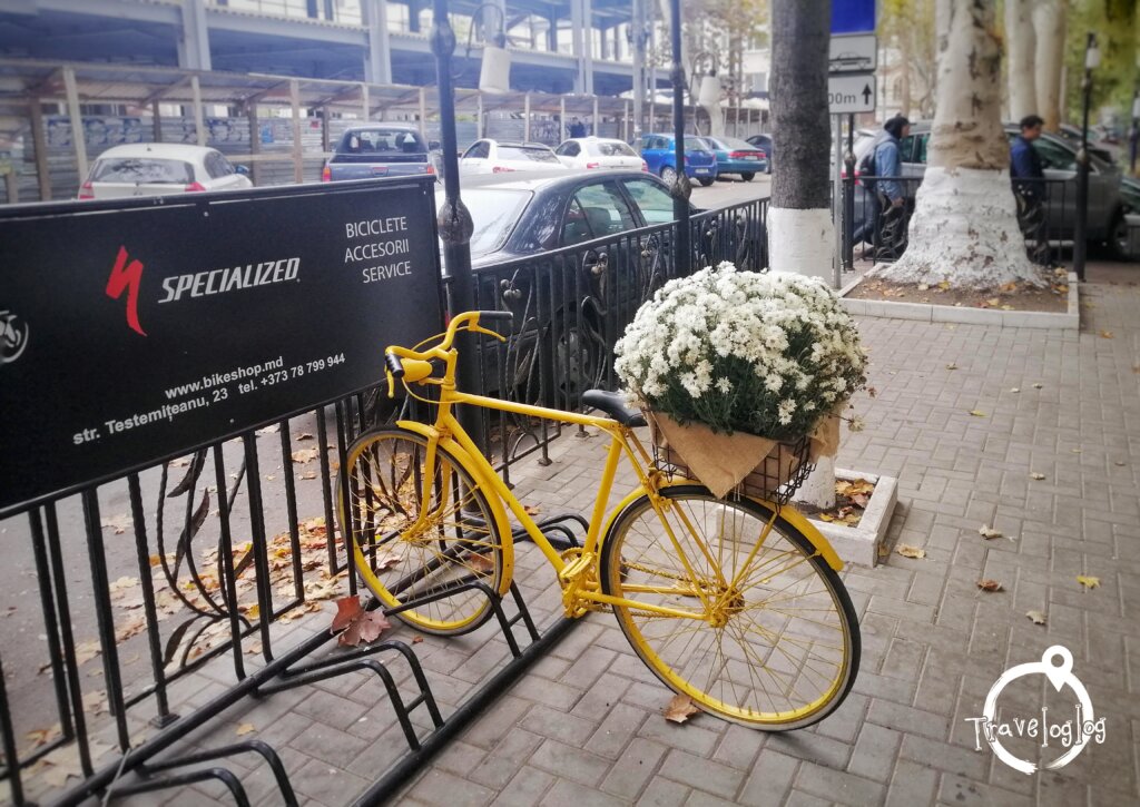 モルドバ：白いお花と黄色い自転車