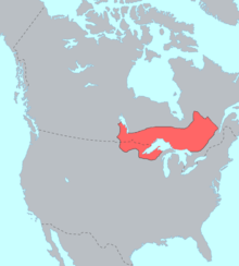 画像：オブジワ族の分布・アメリカ・カナダ