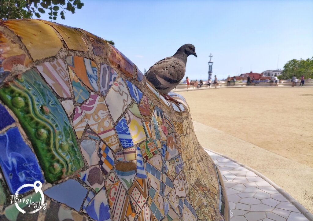バルセロナ：グエル公園の鳩