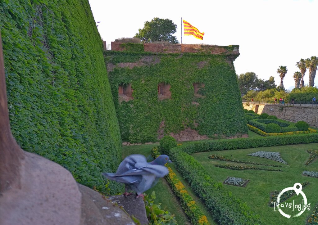 バルセロナ：ムンジュイック城の旗と鳩