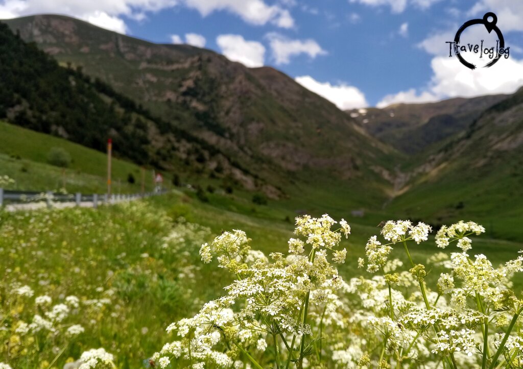 アンドラ：白い花と山脈