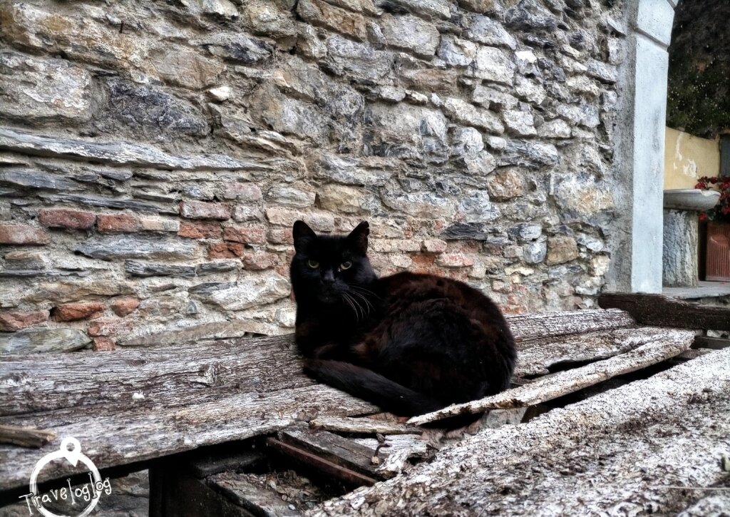 イタリア：トリオラ：魔女の村の黒猫