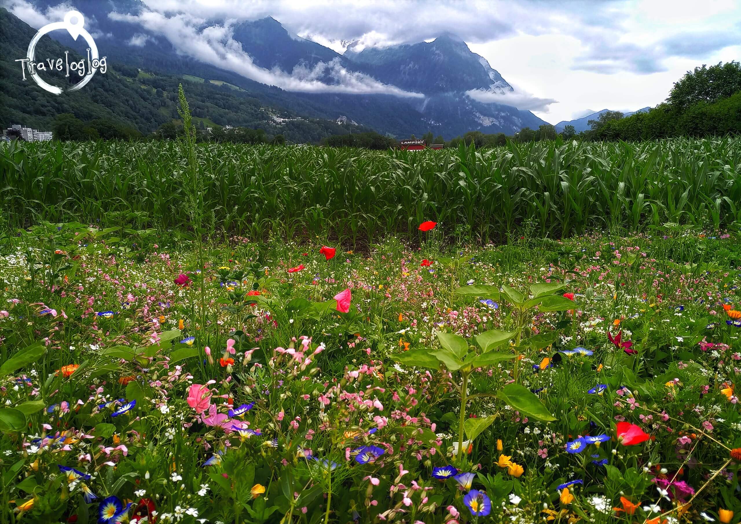 リヒテンシュタイン：色とりどりの花と山々