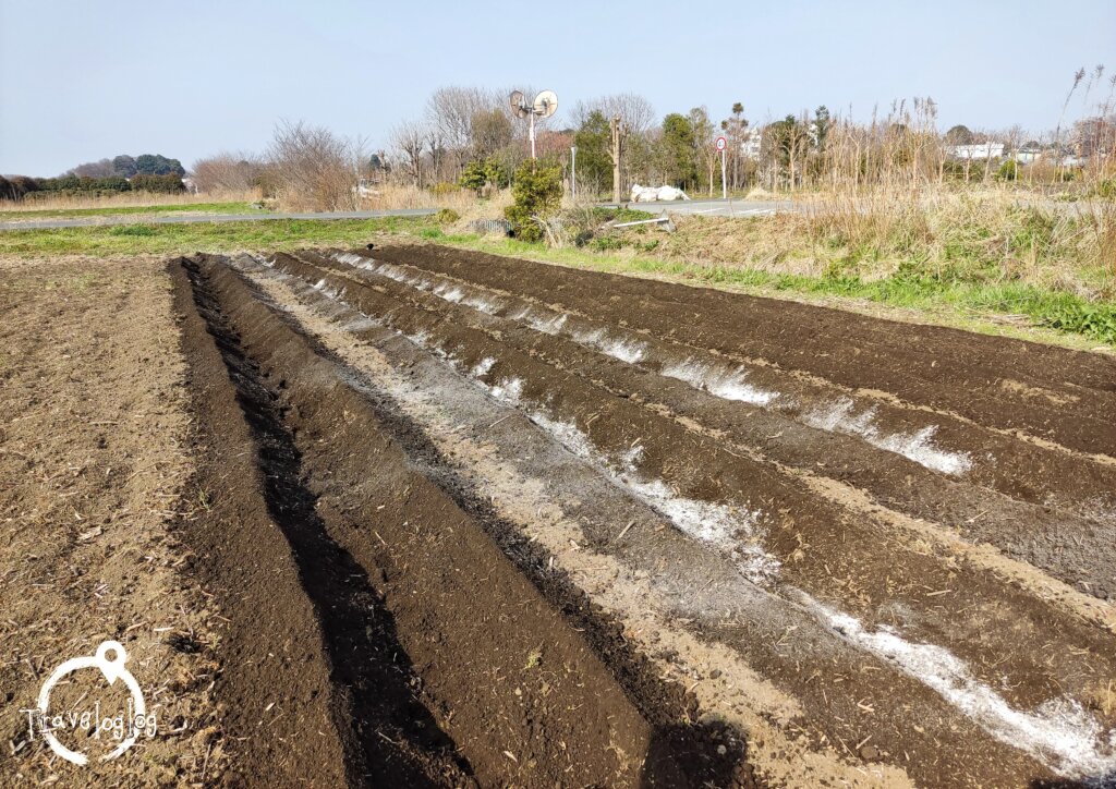 日本：耕した畑の様子