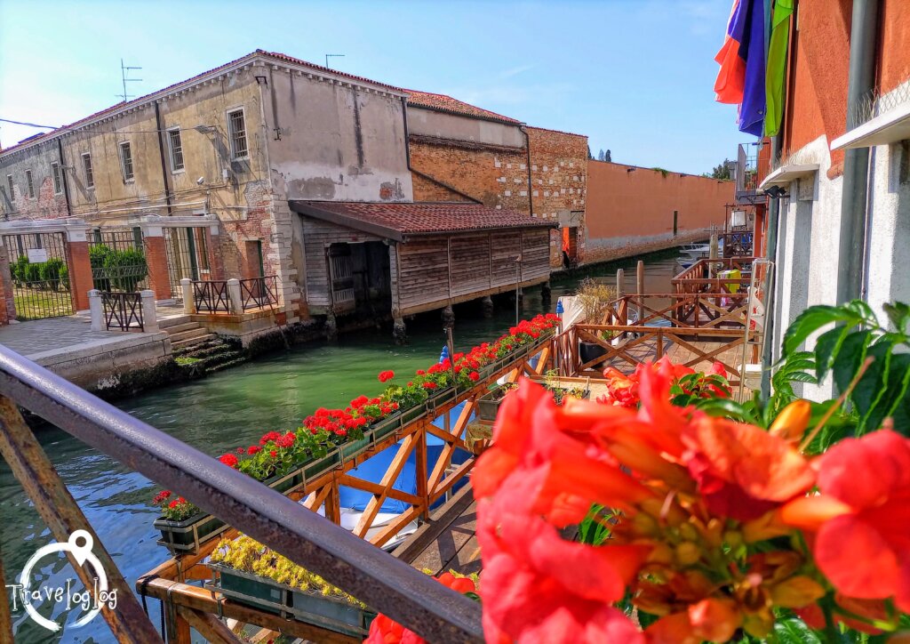 イタリア：ベネチア：ヴェネツィア：赤い花と運河