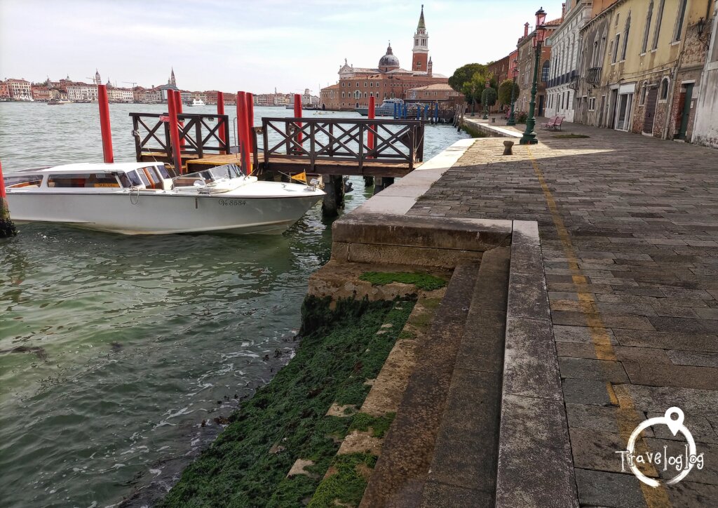 イタリア：ベネチア：ヴェネツィア：海藻まみれの階段