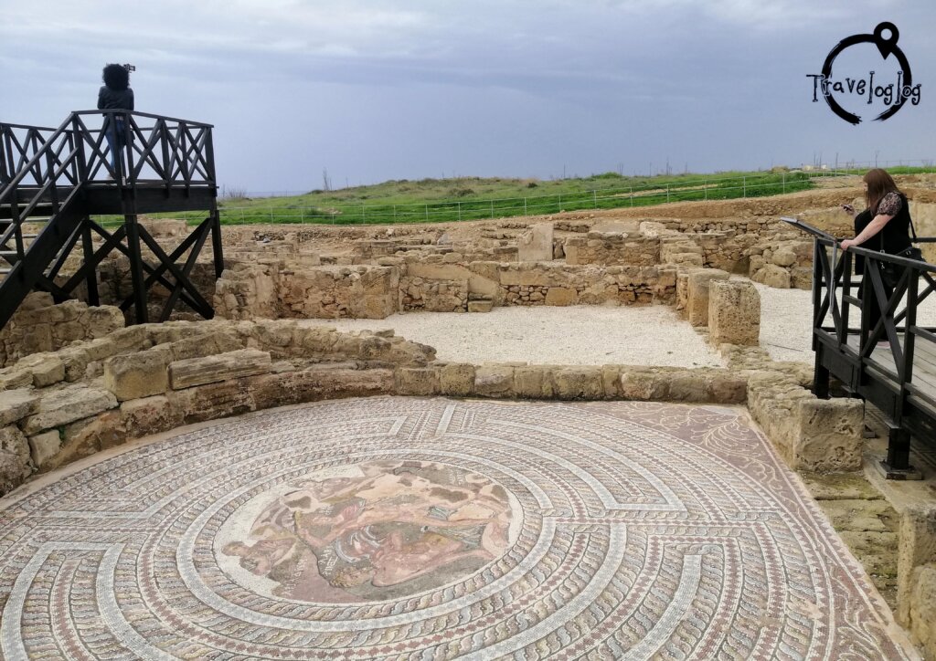キプロス：大きな古代のタイル