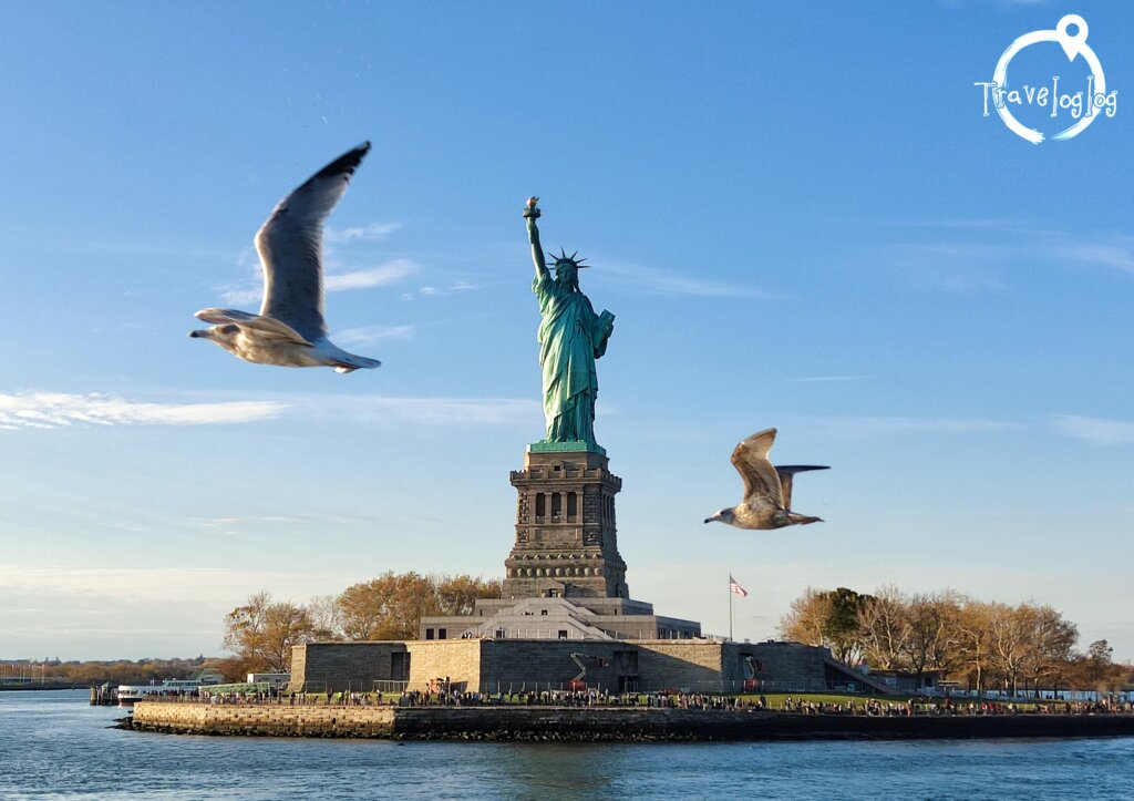 アメリカ：ニューヨーク：自由の女神とカモメ