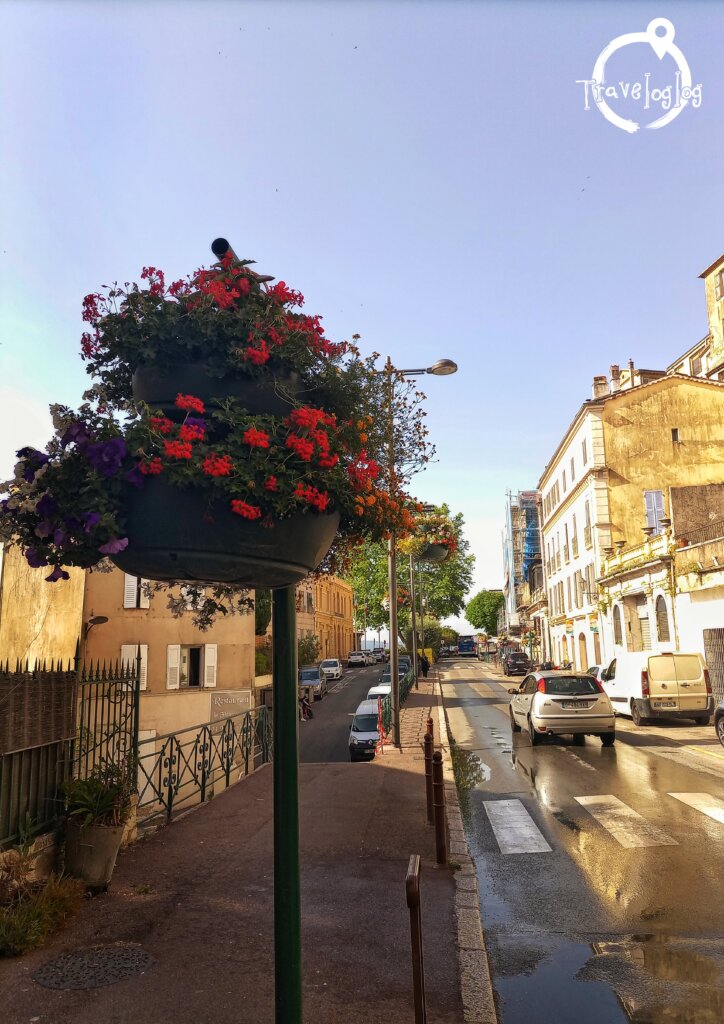 フランス：グラース：街頭の花壇２